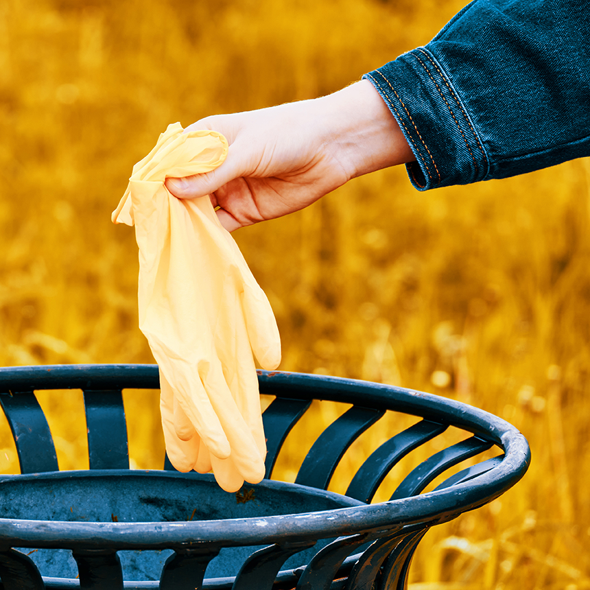 Scrub the Park